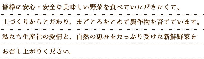 皆様に安心・安全な美味しい野菜を食べていただきたくて、土づくりからこだわり、まごころをこめて農作物を育てています。私たち生産社の愛情と、自然の恵みをたっぷり受けた新鮮野菜をお召し上がりください。
